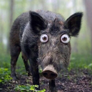 хальгитлег