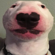 WhatTheDogDoin' Steam avatar