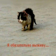 котик помер(