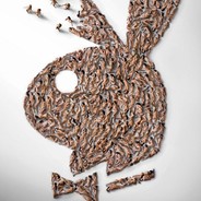 罗志祥干拉蔡徐坤