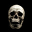 skull