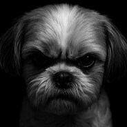 HamekBanek Master of Assists