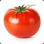 Mr Tomato Presidento