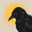 St. Raven