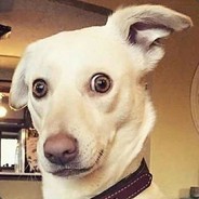 心理辅导唐老师