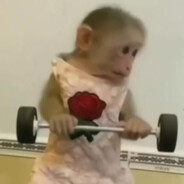 gym macaco