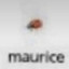 maurice