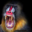 Mandrill