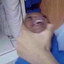 Big Hoss
