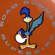 Roadrunner - steam id 76561197968094534