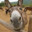 Mr.Donkey