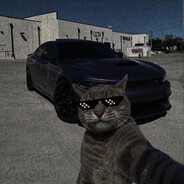 -Edzn - steam id 76561199495499811
