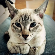 Big Avatar