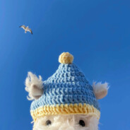 原味儿少女脚皮