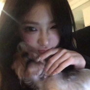 无敌炸毛猫猫头