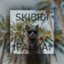 Skibidi Palma