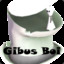 Gibus Boi