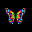 Butterfly_Honey_74