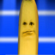 Catnyangi(켓냥이)