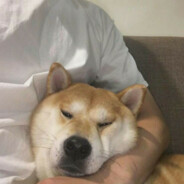 伯乐见了都说好马