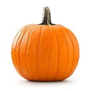kT Mr. Bumpkin - steam id 76561197961155448