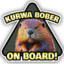 Bober Kurwa