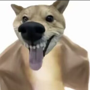 ropZywOo玉面手雷王