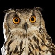 chris²³ - steam id 76561197964525740