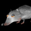 Nqrayback