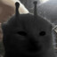 Blaorp