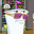MasterShake