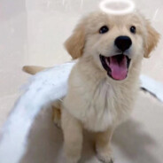 凤泉山庄第一突破手