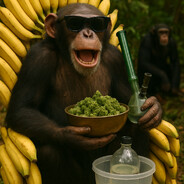 𝐖𝐢𝐚𝐝𝐫𝐨Master