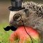 Sir sexy Igel