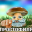 Мудрый гриб