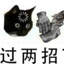 单动帝皇何大mer