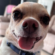 ZeedyCS - steam id 76561199811322593