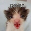 jaso