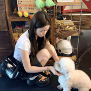 呢呢打麻将必赢