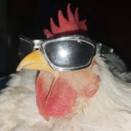 El Gallo Loco