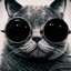 Catou