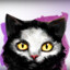CraZy Cat