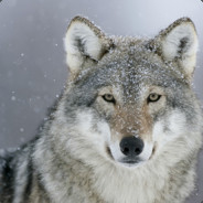 Larsdewolf