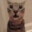 Sir Demetrius Bartholomew III's Avatar
