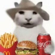 鸦鸦不是笨笨鸦