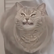Жулик avatar
