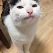 吃葡萄不吐西瓜皮