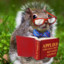 ProfSquirrel