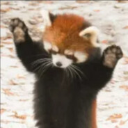 unnamed_red_panda