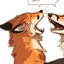 fox salmon